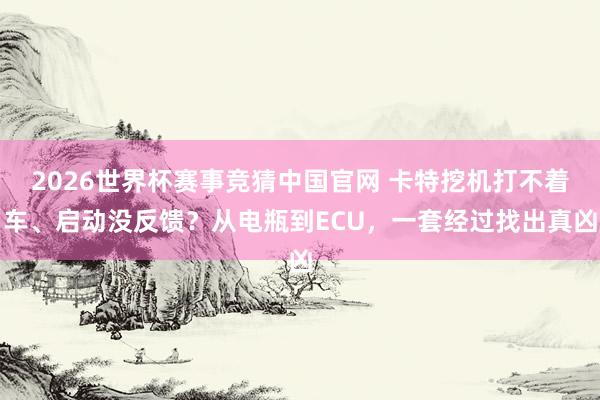 2026世界杯赛事竞猜中国官网 卡特挖机打不着车、启动没反馈?从电瓶到ECU,一套经过找出真凶