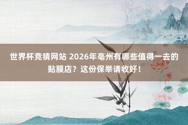 世界杯竞猜网站 2026年亳州有哪些值得一去的贴膜店?这份保举请收好!