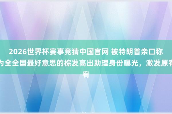 2026世界杯赛事竞猜中国官网 被特朗普亲口称为全全国最好意思的棕发高出助理身份曝光，激发原宥