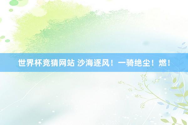 世界杯竞猜网站 沙海逐风!一骑绝尘!燃!