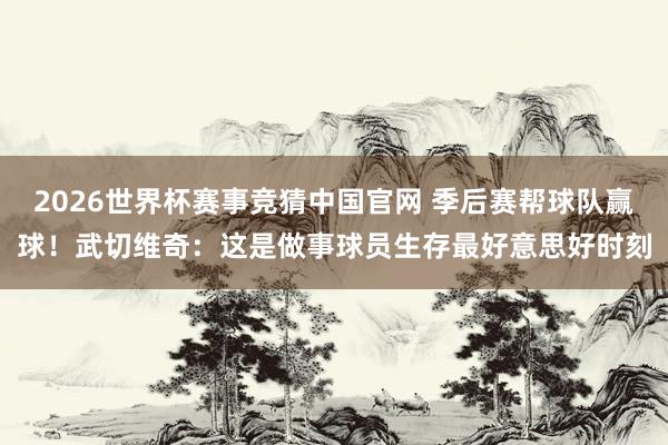 2026世界杯赛事竞猜中国官网 季后赛帮球队赢球！武切维奇：这是做事球员生存最好意思好时刻
