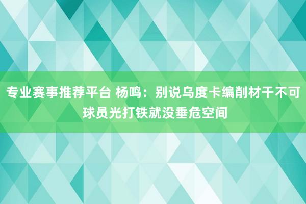 专业赛事推荐平台 杨鸣：别说乌度卡编削材干不可 球员光打铁就没垂危空间