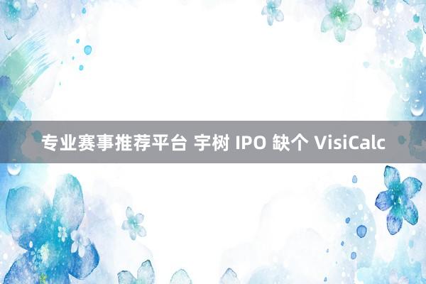 专业赛事推荐平台 宇树 IPO 缺个 VisiCalc