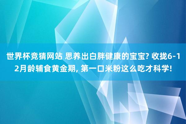 世界杯竞猜网站 思养出白胖健康的宝宝? 收拢6-12月龄辅食黄金期, 第一口米粉这么吃才科学!