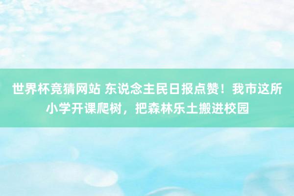 世界杯竞猜网站 东说念主民日报点赞!我市这所小学开课爬树,把森林乐土搬进校园
