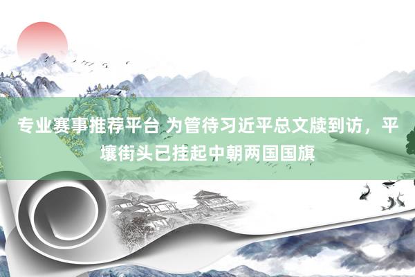 专业赛事推荐平台 为管待习近平总文牍到访，平壤街头已挂起中朝两国国旗