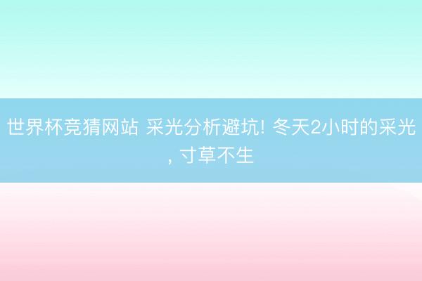 世界杯竞猜网站 采光分析避坑! 冬天2小时的采光, 寸草不生